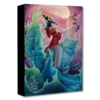 The Sorcerer's Finale 16 x 12 Disney Fine Art Treasures on Canvas by Jared Franco