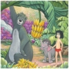 Home in the Jungle 20x10 Disney Fine Art Treasures on Canvas by Michelle St Laurent - Image 2